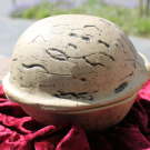 Beginn-Walnuss-geschlossen-IMG_5632