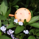 DSCF5332.jpg