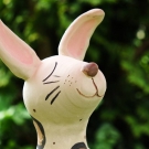 DSCF5379.jpg